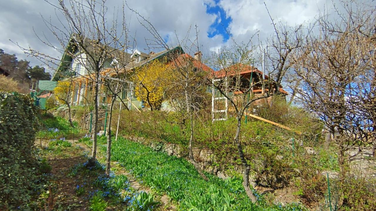 Kuschmann Apartment Brasov