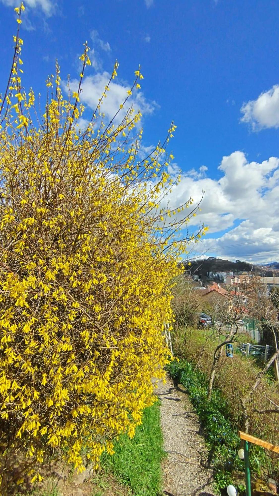 Kuschmann